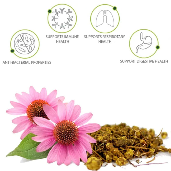 Nature's Answer Echinacea & Goldenseal 900mg Vegan Capsules For Immunity, Pack of 90's - Easy Pharmacy LLC