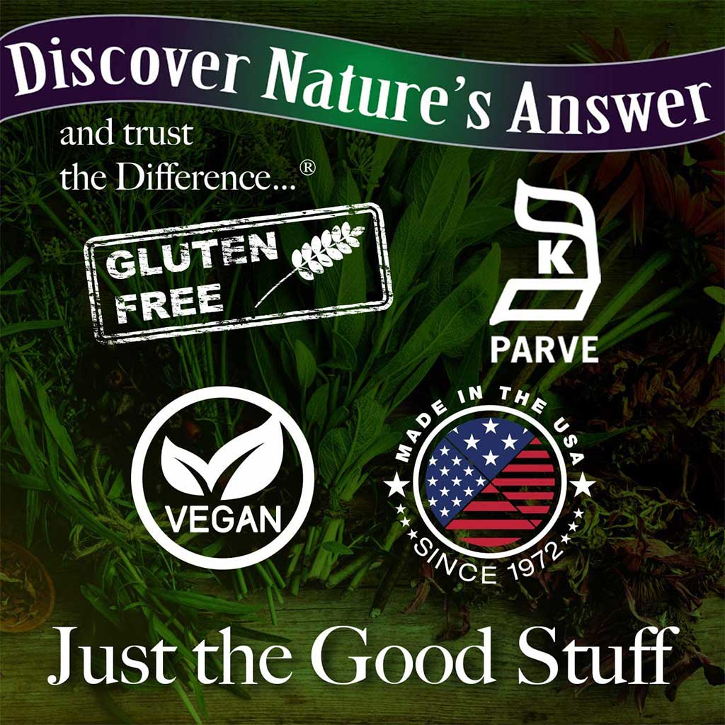 Nature's Answer Dong Quai 1000mg Vegan Capsules For Female Hormonal Support, Pack of 90's - Easy Pharmacy LLC
