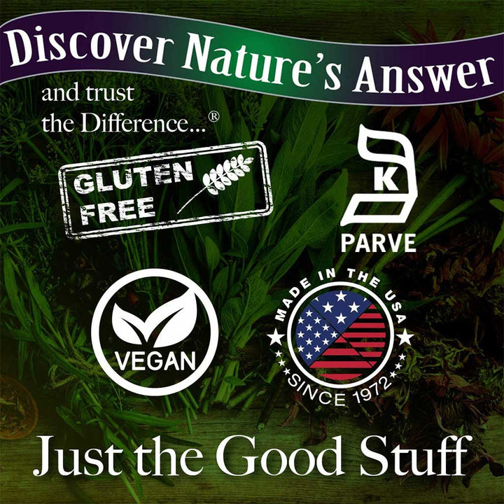 Nature's Answer Dong Quai 1000mg Vegan Capsules For Female Hormonal Support, Pack of 90's - Easy Pharmacy LLC