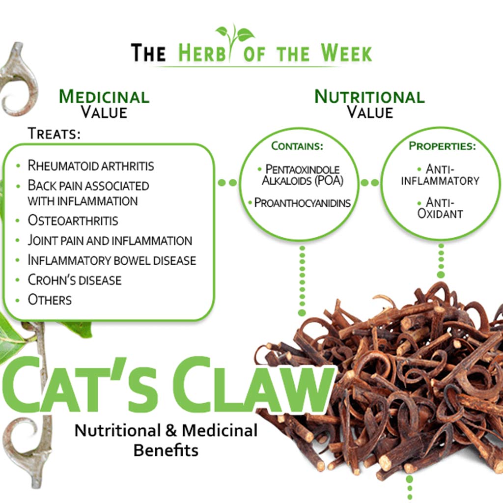 Nature's Answer Cat's Claw Inner Bark Vegetarian Capsules 90's - Easy Pharmacy LLC