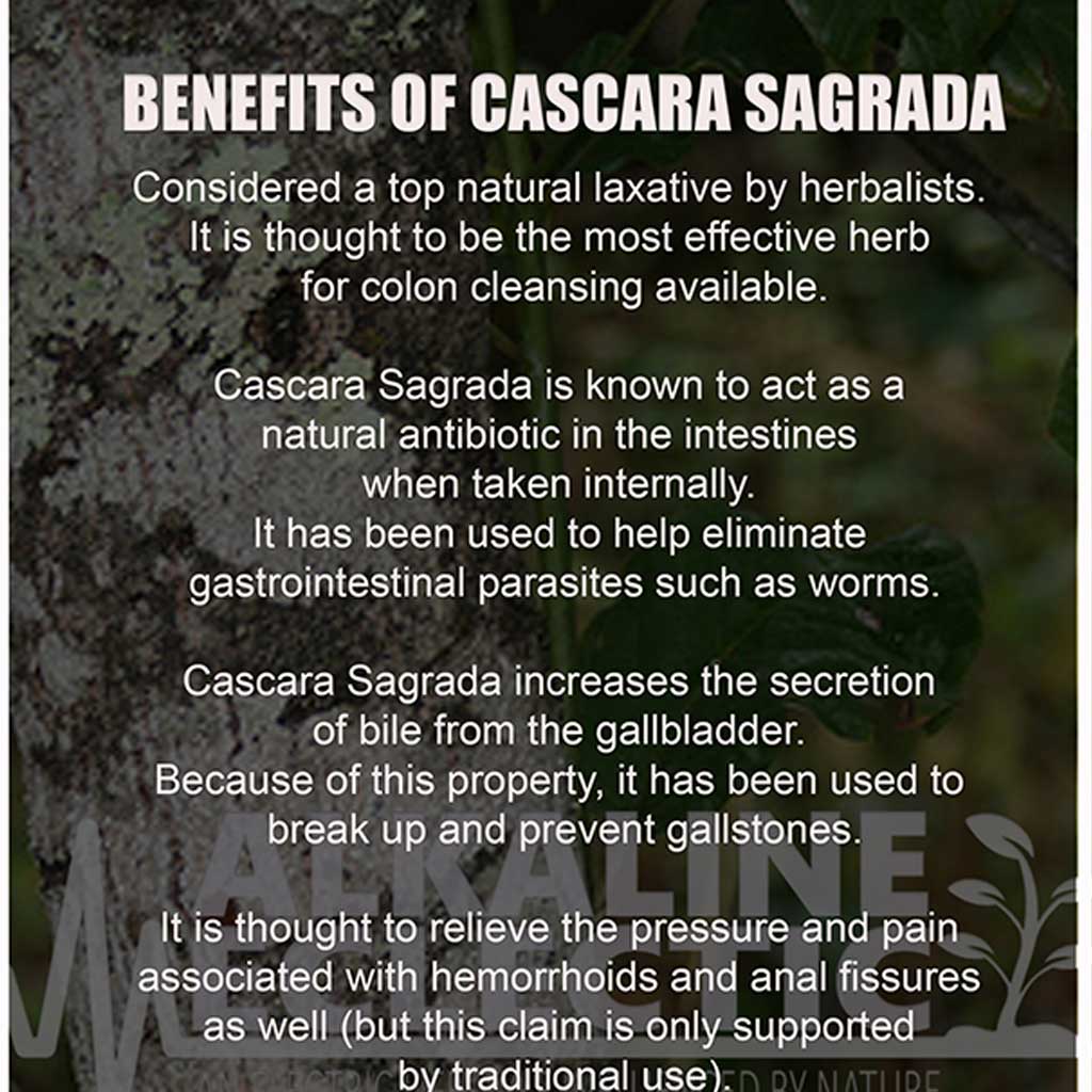 Nature's Answer Cascara Sagrada Bark 850 mg Vegetarian Capsules 90's - Easy Pharmacy LLC