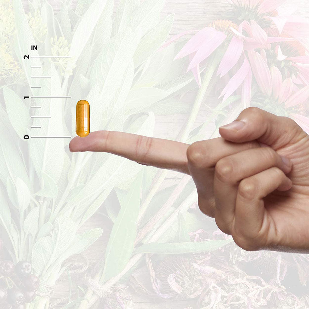 Nature's Answer Astragalus Root 500 mg Standardized Vegetarian Capsules 60's - Easy Pharmacy LLC