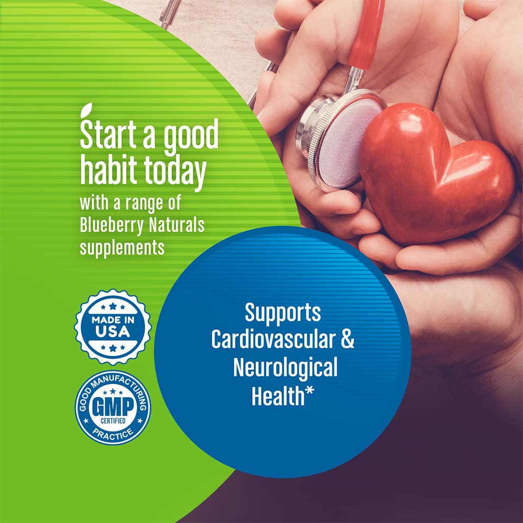 Blueberry Naturals Super Folate 800 mcg Lozenges 60's B0081 - Easy Pharmacy LLC