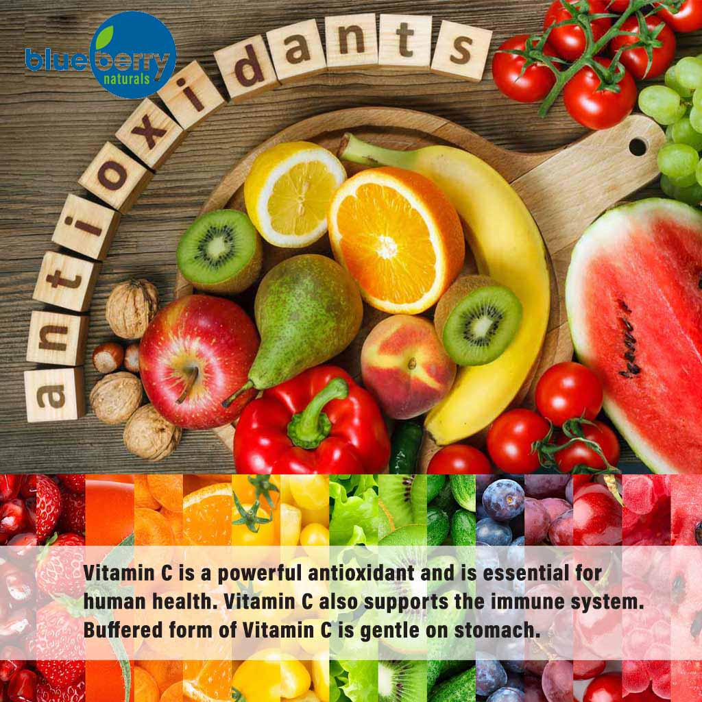 Blueberry Naturals Buffered Quick C 500 mg Vegetarian Capsules 60's B0128 - Easy Pharmacy LLC