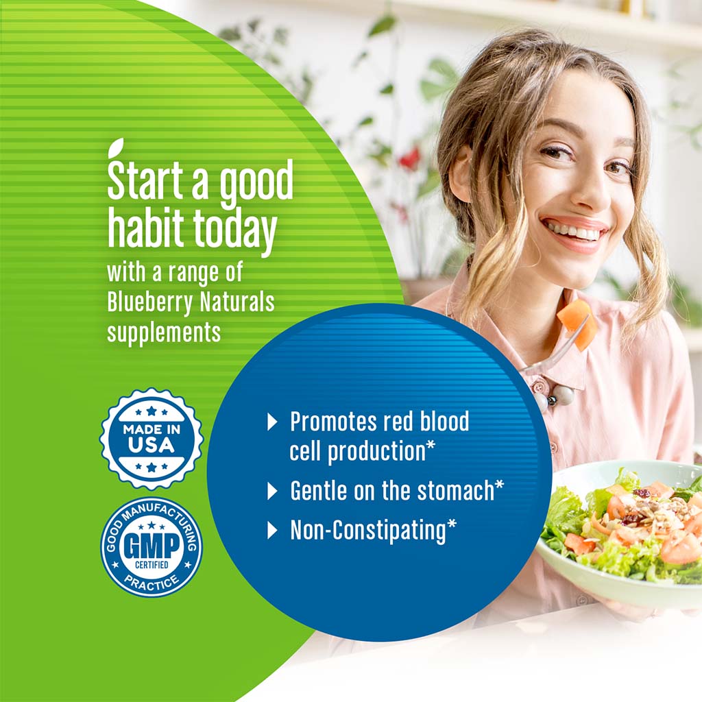 Blueberry Naturals Easy Iron 25 mg Vegetarian Capsules 90's B0265 - Easy Pharmacy LLC