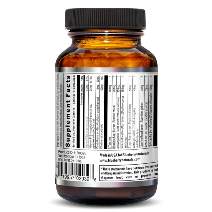 Blueberry Naturals Re-Sync Vegetarian Capsules 60's B0326 - Easy Pharmacy LLC