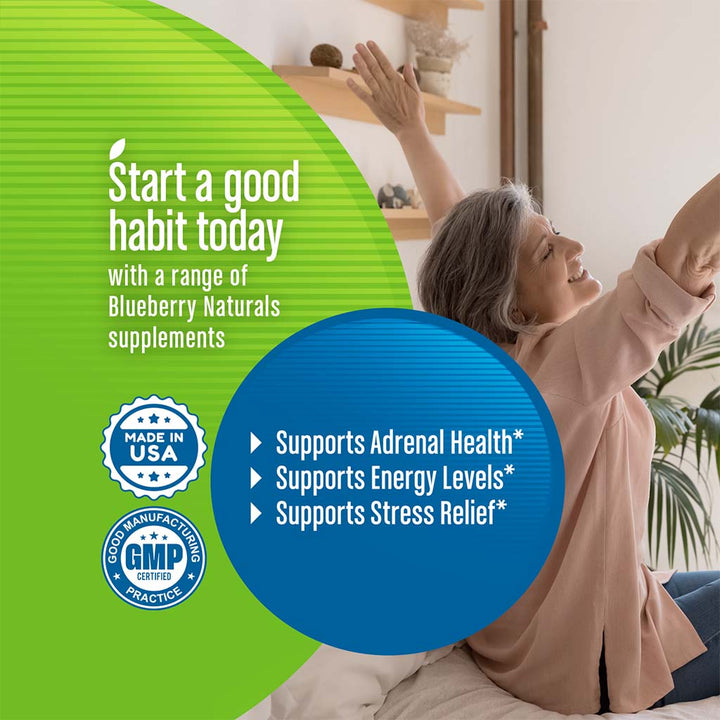 Blueberry Naturals Re-Sync Vegetarian Capsules 60's B0326 - Easy Pharmacy LLC