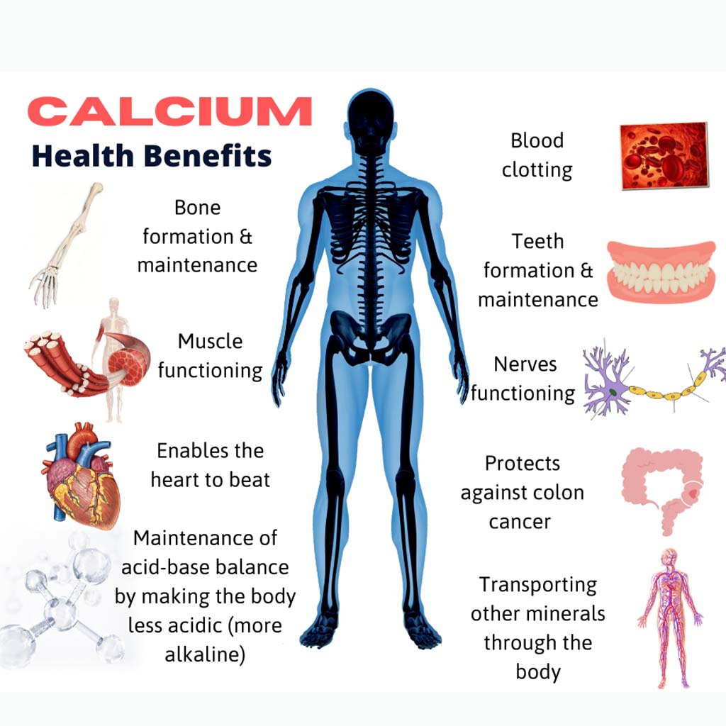 21st Century Calcium Plus Multimineral + Vitamin D Tablets For Bones & Teeth, Pack of 30's - Easy Pharmacy LLC