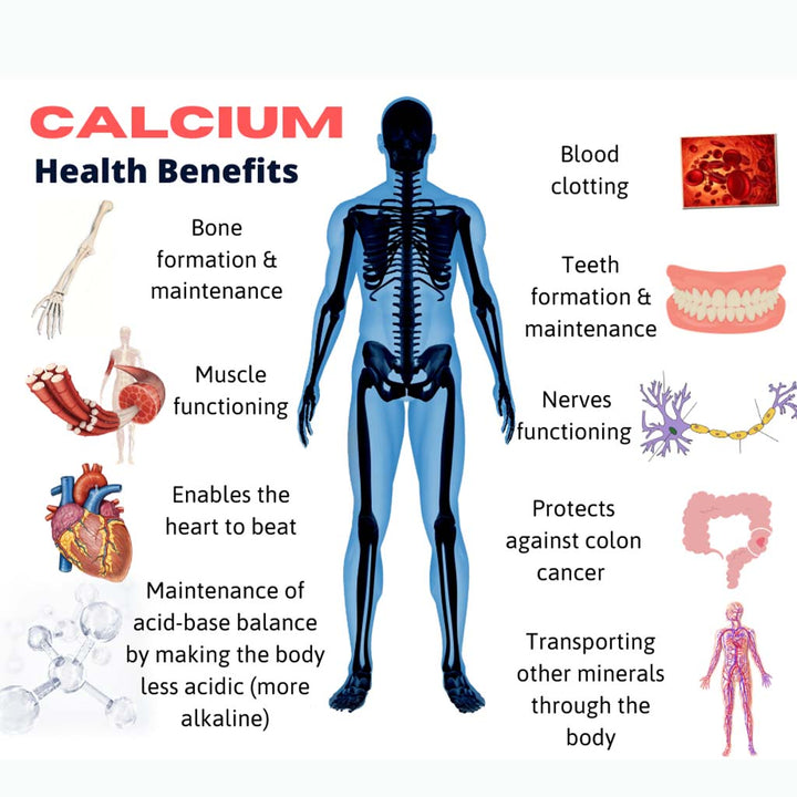 21st Century Calcium Plus Multimineral + Vitamin D Tablets For Bones & Teeth, Pack of 30's - Easy Pharmacy LLC