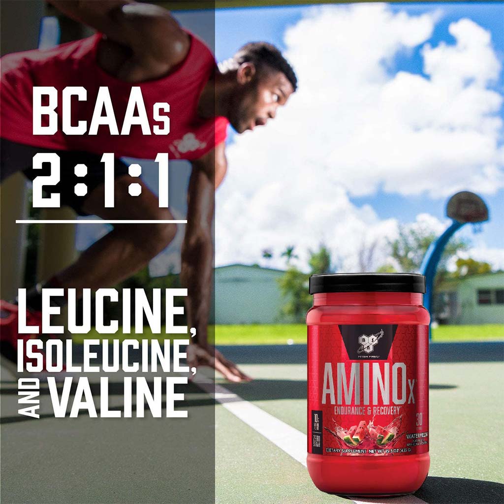 BSN AMINOx Powder With BCAAs For Endurance And Recovery, Watermelon 435g - Easy Pharmacy LLC