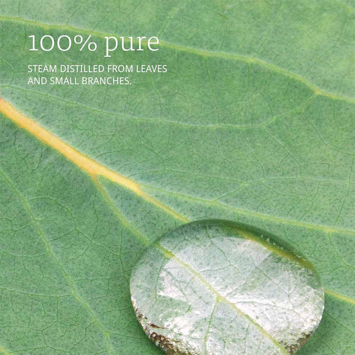 Now Essential Oils Eucalyptus Oil For Aromatherapy 30ml - Easy Pharmacy LLC