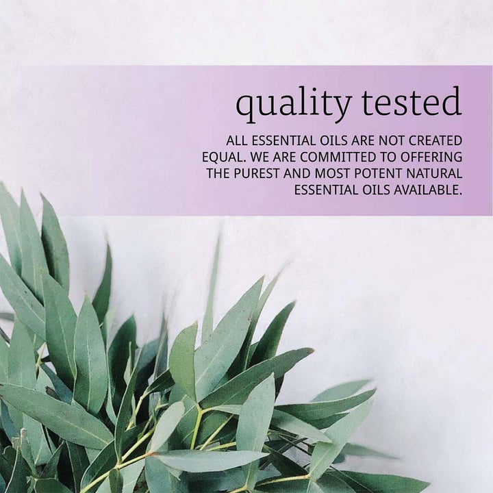 Now Essential Oils Eucalyptus Oil For Aromatherapy 30ml - Easy Pharmacy LLC