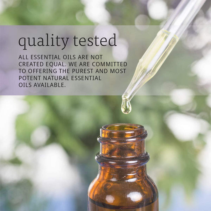 Now Essential Oils Ginger Oil For Aromatherapy 30ml - Easy Pharmacy LLC