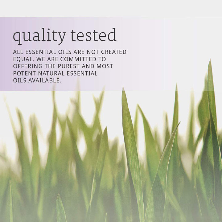 Now Essential Oils Lemongrass Oil For Aromatherapy 30ml - Easy Pharmacy LLC