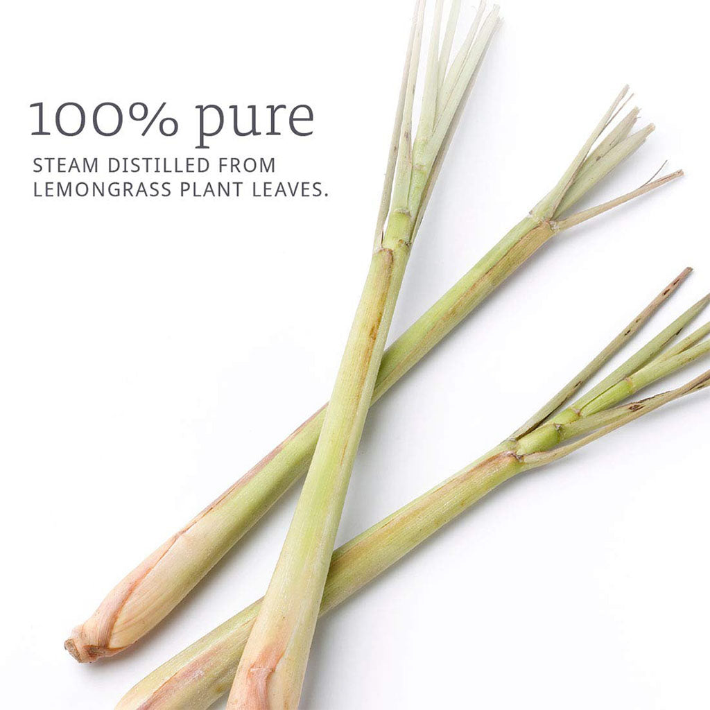 Now Essential Oils Lemongrass Oil For Aromatherapy 30ml - Easy Pharmacy LLC