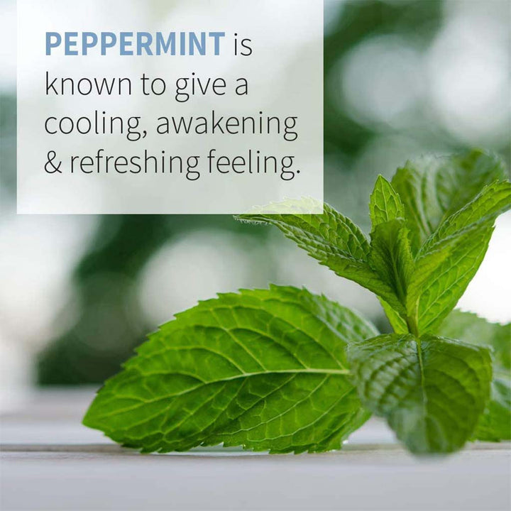 Now Essential Oils Peppermint Oil For Aromatherapy 30ml - Easy Pharmacy LLC