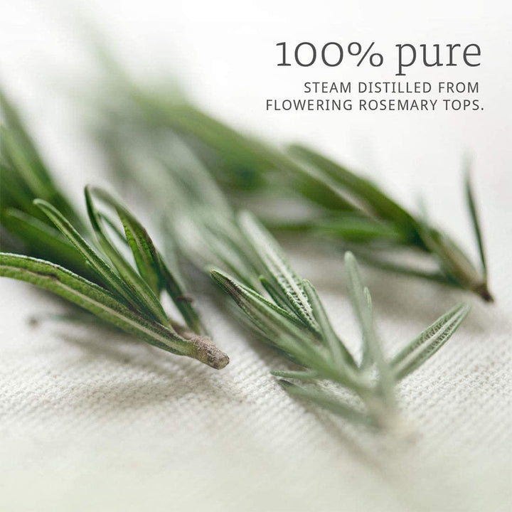 Now Essential Oils Rosemary Oil For Aromatherapy 30ml - Easy Pharmacy LLC