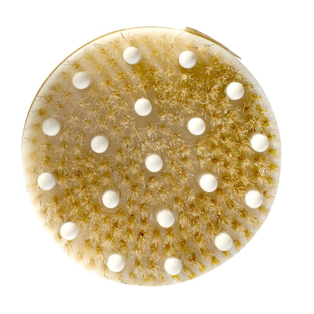 Daily Concepts Your Detox Massage Brush DC31 - Easy Pharmacy LLC