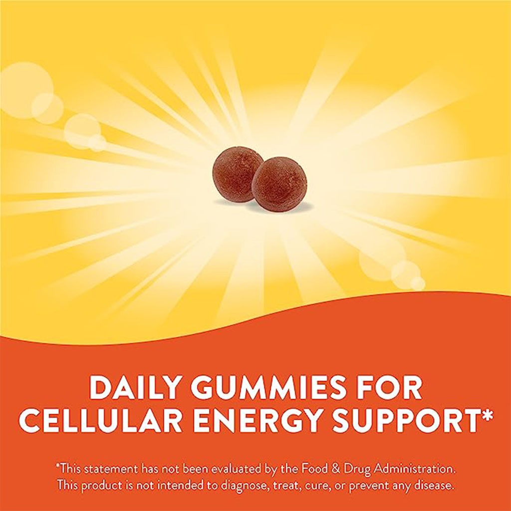 Alive B-Complex Gummies 60's - Easy Pharmacy LLC