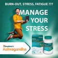 Himalaya Ashwagandha Capsules for Stress & Wellness, 120 Capsules