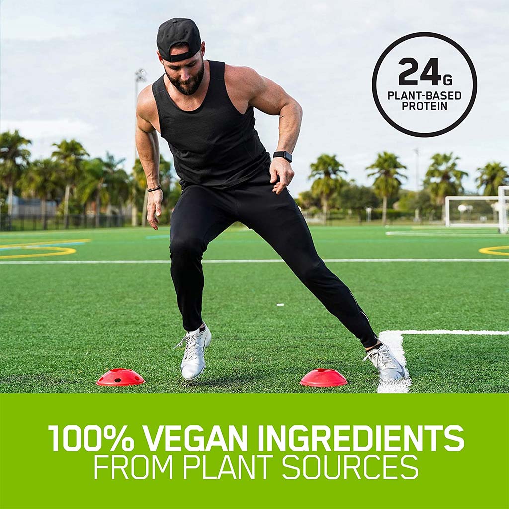 Optimum Nutrition Gold Standard 100% Plant Protein Vanilla 1.5lb - Easy Pharmacy LLC