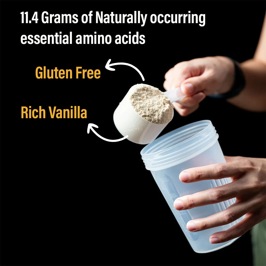 Optimum Nutrition Gold Standard 100% Isolate Rich Vanilla 1.58lb - Easy Pharmacy LLC