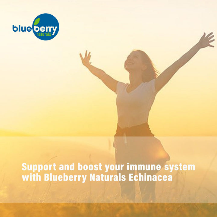 Blueberry Naturals Echinacea 400 mg Capsules 100's - Easy Pharmacy LLC