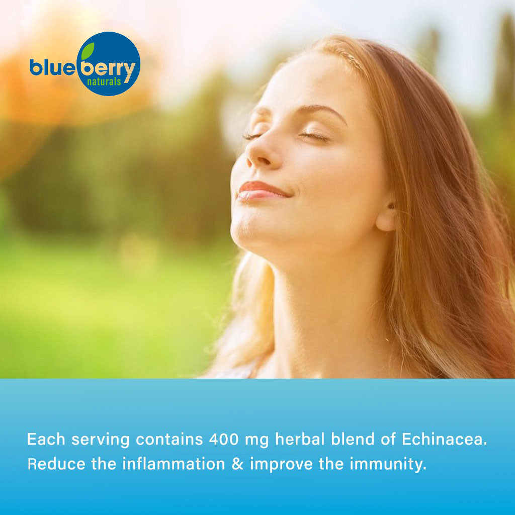 Blueberry Naturals Echinacea 400 mg Capsules 100's - Easy Pharmacy LLC