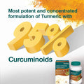 Himalaya Turmeric 95 Capsules 60's