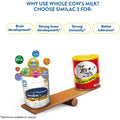 Similac IQ Plus Intelli Pro Stage 3 Toddlers Milk Formula For 1 To 3 Years 400g