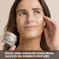 Institut Esthederm Excellage Cream 50 mL