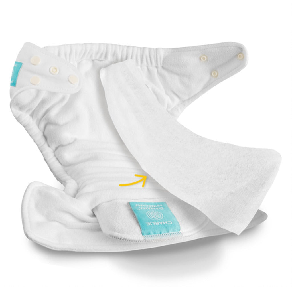 Charlie Banana 2-In-1 Cloth Diaper Liners & Wipes, Pack of 100's - Easy Pharmacy LLC