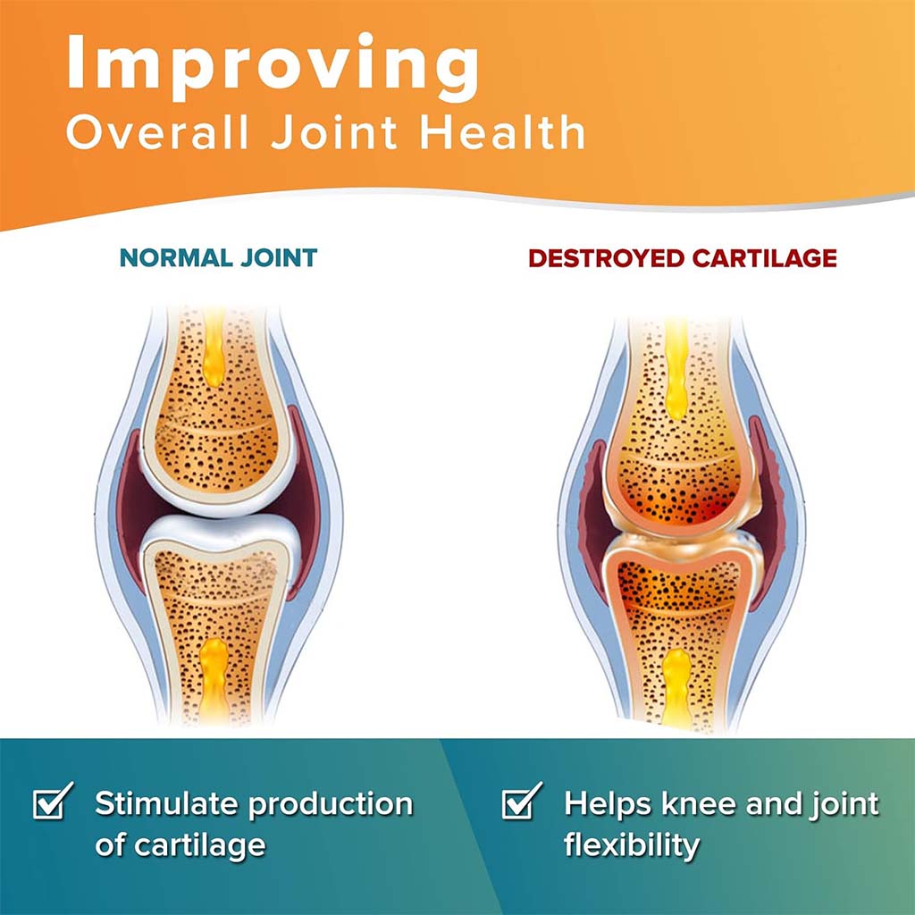 Vitamax Joint Support Tablets With Glucosamine, Chondroitin & Ginger For Mobility & Flexibility, Pack of 60's - Easy Pharmacy LLC
