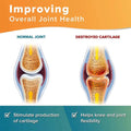 Vitamax Joint Support Tablets With Glucosamine, Chondroitin & Ginger For Mobility & Flexibility, Pack of 60's