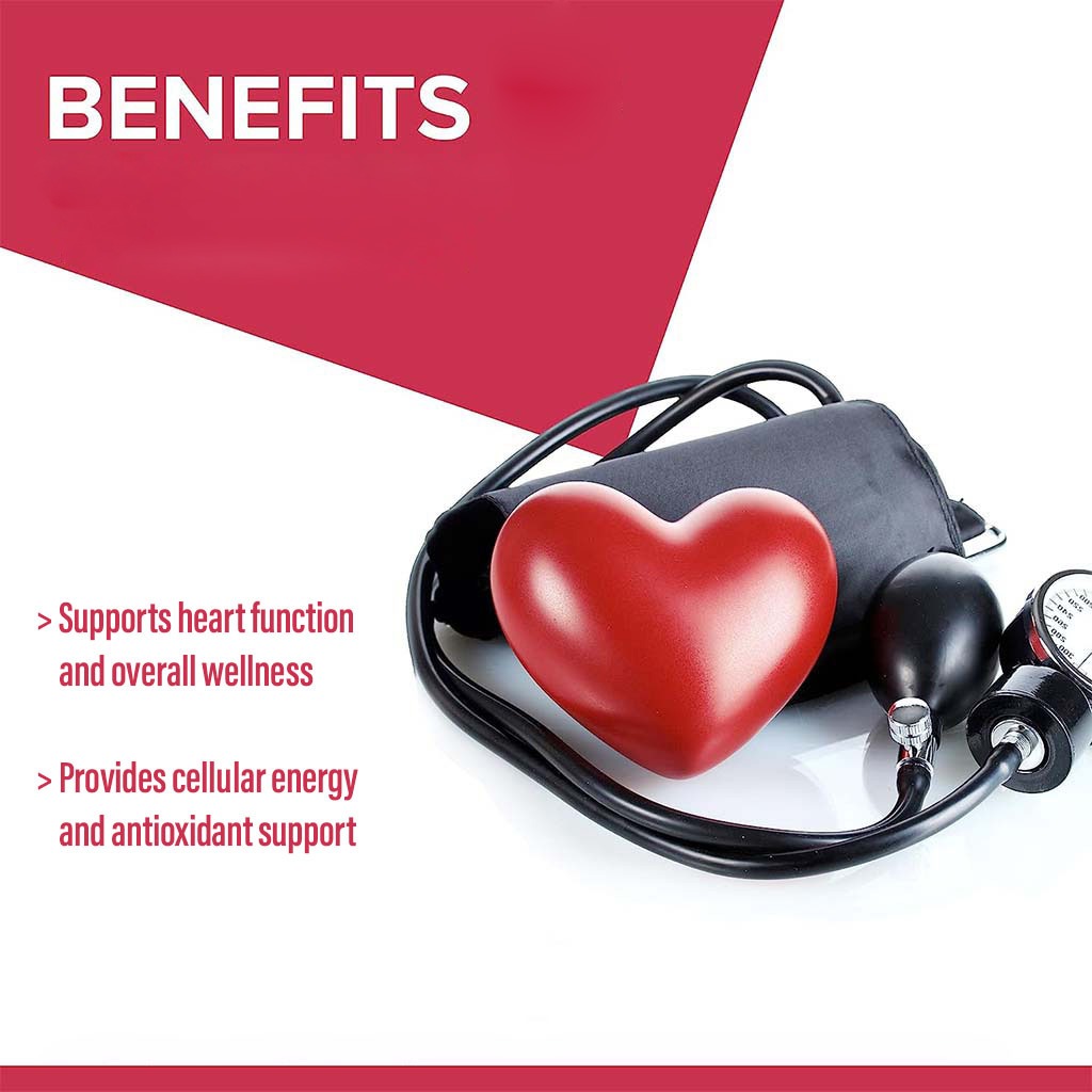 Vitamax Coenzyme Q10 100 mg Softgels For Heart & Antioxidant Support, Pack of 30's - Easy Pharmacy LLC