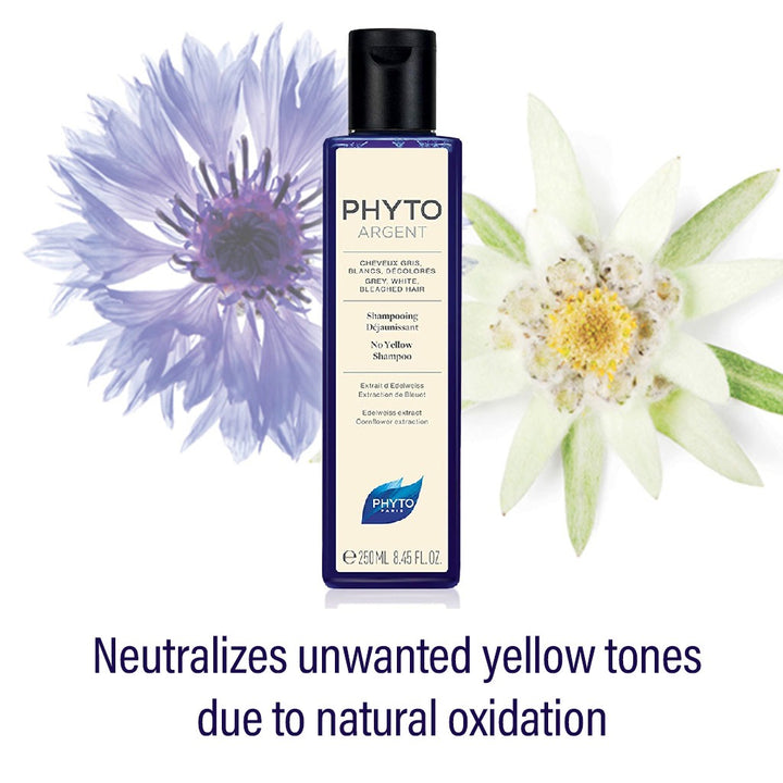 Phyto Phytoargent No-Yellow, Yellow Tone Neutralizing Shampoo For Grey, White & Bleached Hair 250ml - Easy Pharmacy LLC