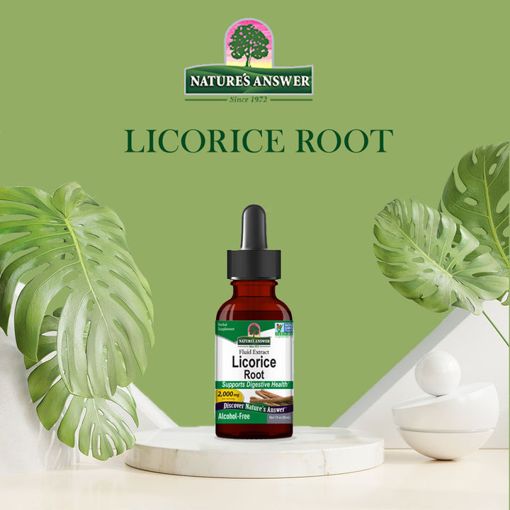 Nature's Answer Licorice Root 2000mg Fluid Extract Drops For Digestive Health, 30ml - Easy Pharmacy LLC