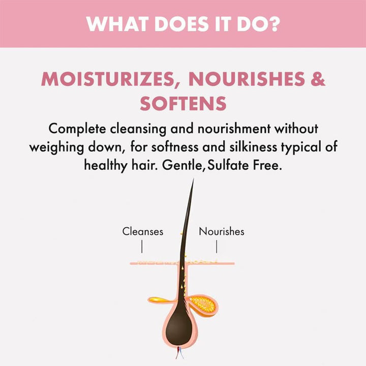 Alfaparf Milano Semi Di Lino Moisture Nutritive Sulfate Free Low Shampoo For Dry Hair 250ml - Easy Pharmacy LLC