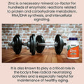 Now Zinc 50mg Tablets For Immune Support, Pack of 250's