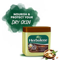 Dabur Herbolene Cocoa Butter Petroleum Jelly 225 mL