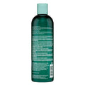 Hask Tea Tree Oil And Rosemary Invigorating Shampoo 355 ml