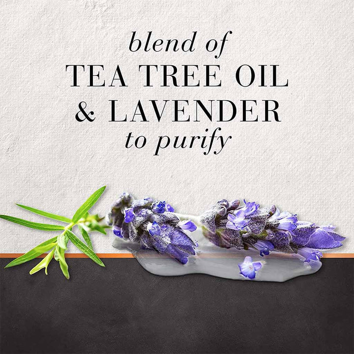 Hair Food Sulfate & Dye Free Purifying Treatment Shampoo With Tea Tree And Lavender Water 300ml - Easy Pharmacy LLC