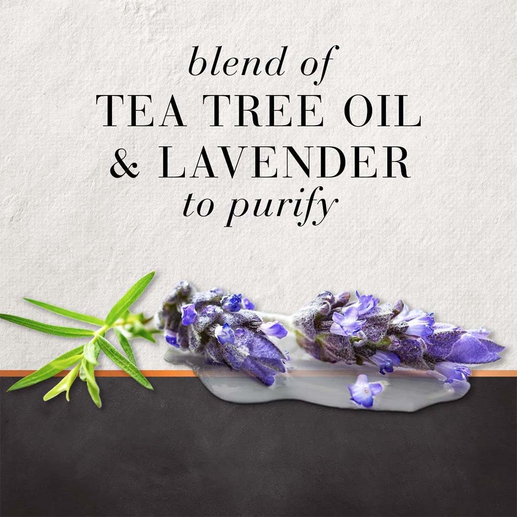 Hair Food Sulfate & Dye Free Purifying Treatment Conditioner With Tea Tree And Lavender Water 300ml - Easy Pharmacy LLC