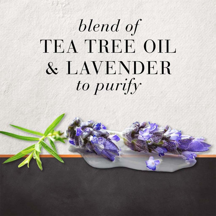 Hair Food Sulfate & Dye Free Purifying Treatment Conditioner With Tea Tree And Lavender Water 300ml - Easy Pharmacy LLC