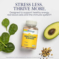 Solaray Mega Vitamin B-Stress Timed-Release Vegan Capsules, 120 Capsules