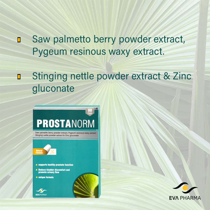 Eva Pharma Prostanorm Hard Gelatin Capsules for Prostate Health, Pack of 60's - Easy Pharmacy LLC