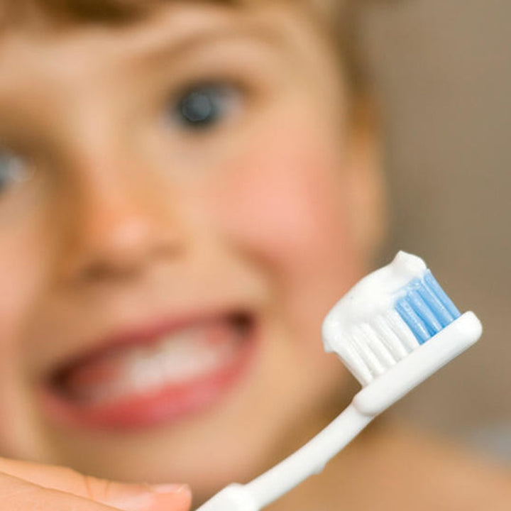 The First Years Toddler Toothbrush, Pack of 2's - Easy Pharmacy LLC