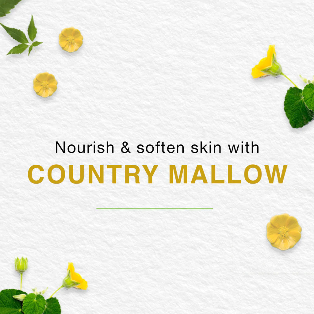 Himalaya Baby Cream With Olive Oil & Country Mallow 100ml - Easy Pharmacy LLC