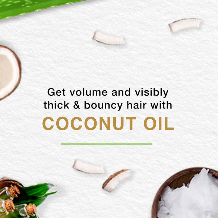 Himalaya Volume & Thickness Shampoo With Coconut Oil 400ml, Pack of 2 - Easy Pharmacy LLC