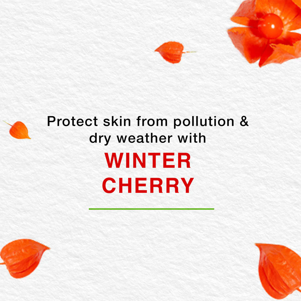 Himalaya Nourishing Skin Cream With Aloe Vera And Winter Cherry 250ml - Easy Pharmacy LLC